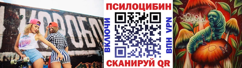 Галлюциногенные грибы Cubensis Туапсе